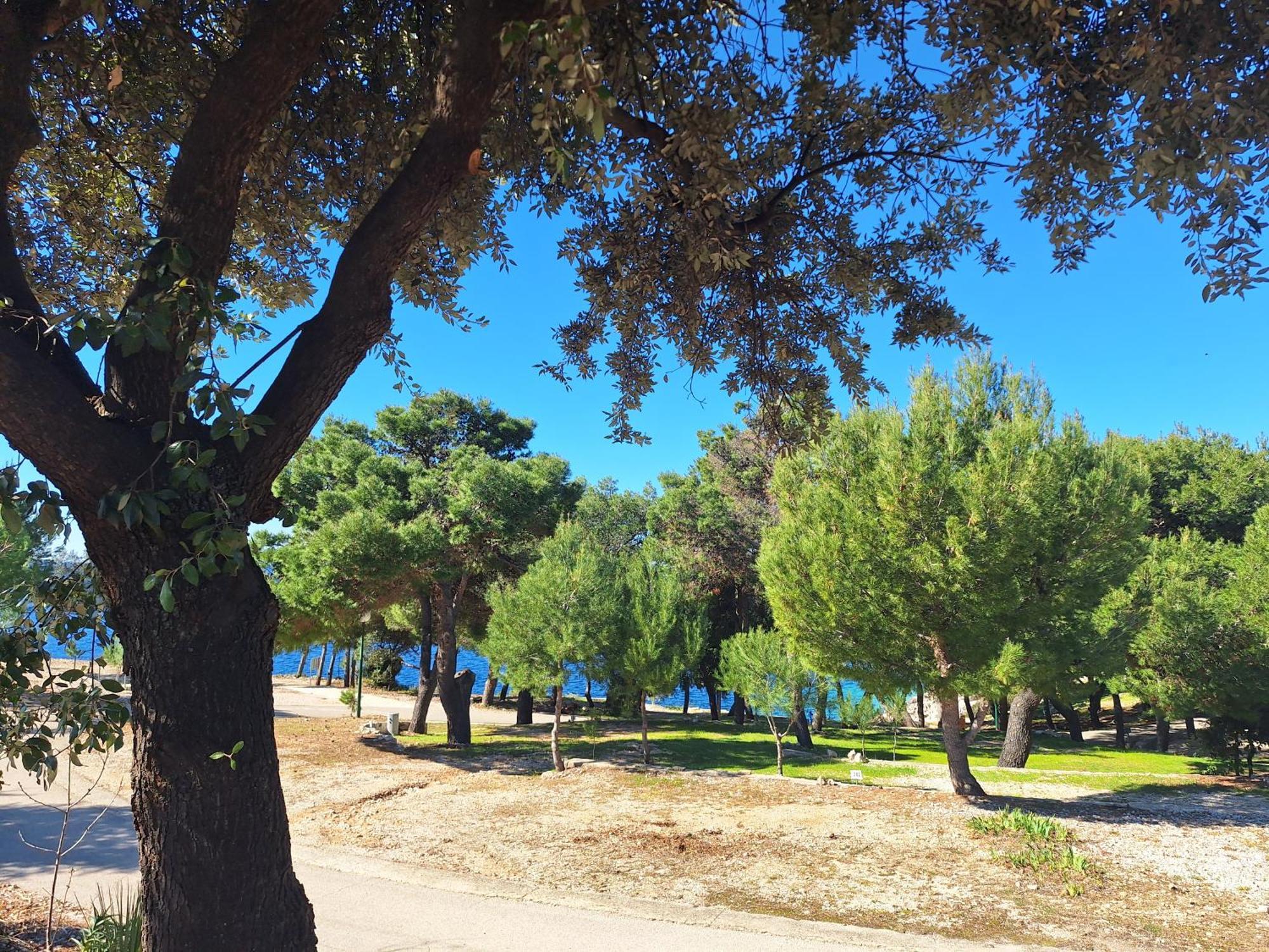Camp Adriatic Mobile Homes - Campsite