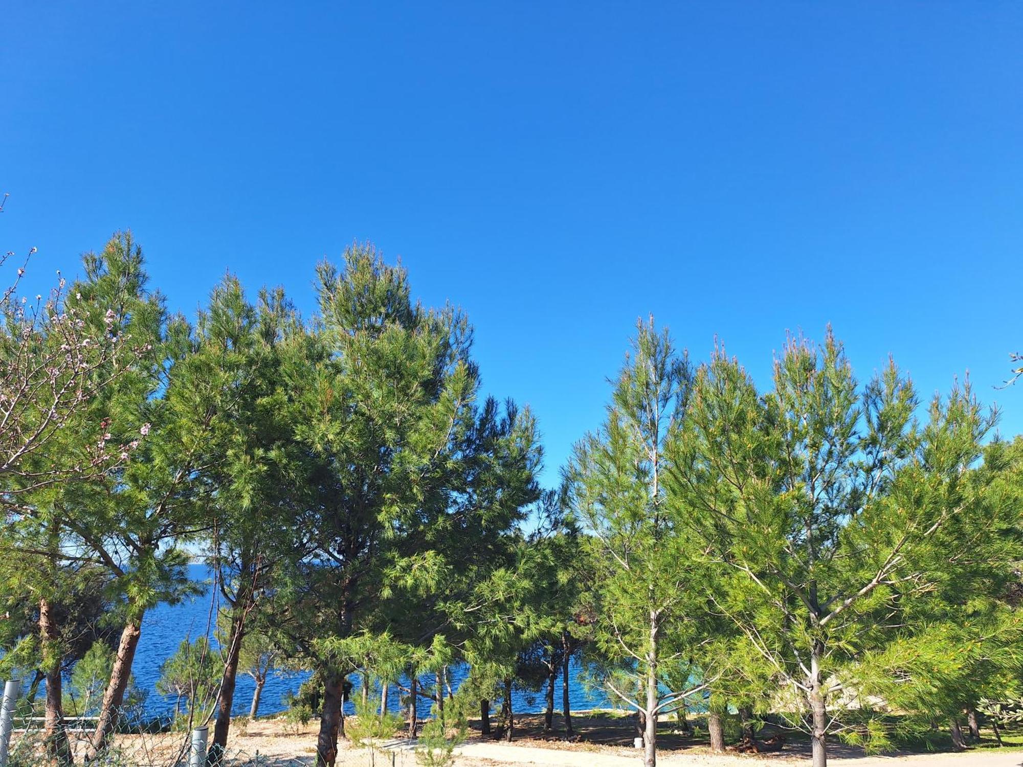 Campsite Camp Adriatic Mobile Homes - *