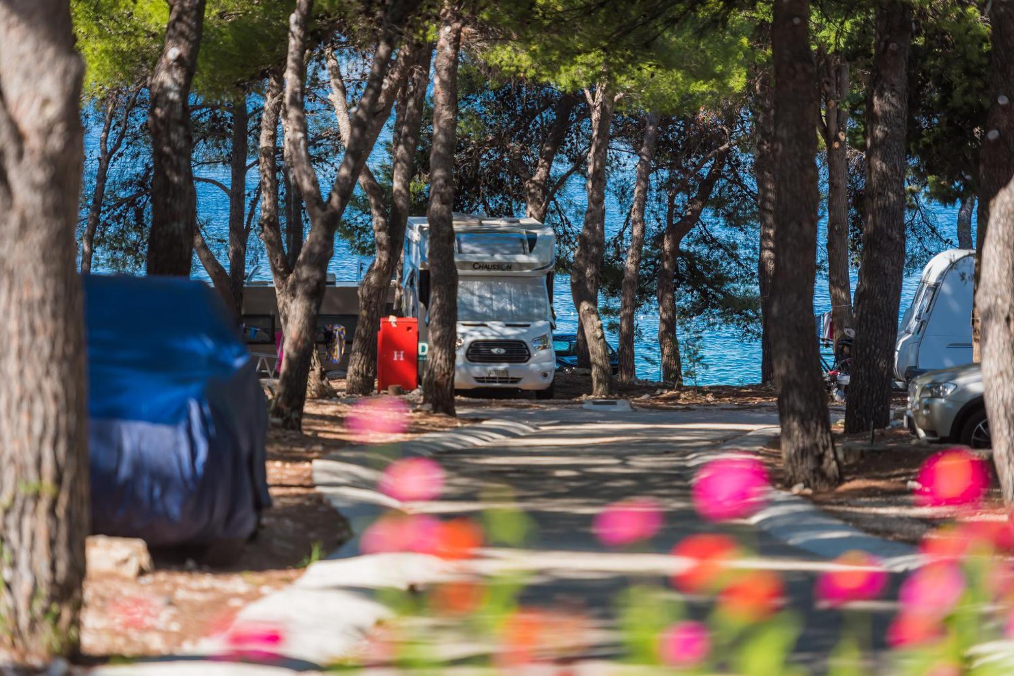 Camp Adriatic Mobile Homes - Campsite *